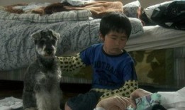 高护木的规矩在线观看,在线观看带你领略传统技艺魅力