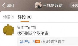 圈内爆料王悦伊微博,揭秘娱乐圈不为人知的一面