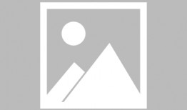 樱花校园春季最新版爆料,校园春意盎然，精彩活动轮番上演