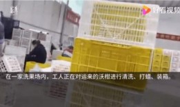 澎湃新闻用什么爆料的,独家爆料揭示真相