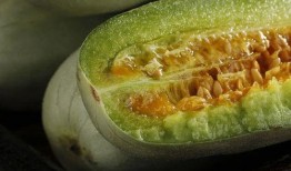 网红吃一根三月瓜,太有毅力了！