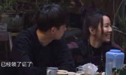 黄磊爆料玫瑰花视频大全,玫瑰花背后的温馨故事