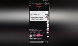 包浆爆料视频下载,探寻古董收藏的神秘面纱