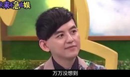 娱乐圈八卦最新爆料博君一肖,娱乐圈风云再起，真相即将揭晓！