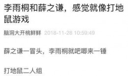 小林的吃瓜日记免费阅读,揭秘娱乐圈幕后故事