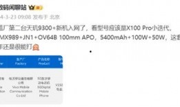 vivox100spro最新爆料,旗舰性能与设计革新，揭秘全新爆料亮点