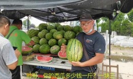 天门扛大旗网红吃瓜,揭秘网络红人的幕后故事