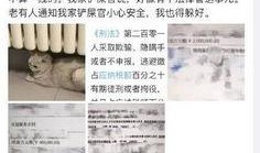 宁德日料爆料事件始末视频,真相与争议的交织