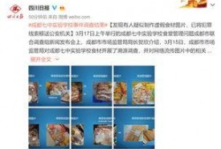 成都爆料家长事件视频,校园冲突背后的家庭矛盾与教育反思