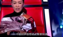 女子爆料中国好声音视频,惊人视频曝光幕后真相