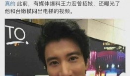 王力宏爆料 视频大全,揭秘娱乐圈幕后真相