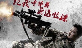 怎么在线观看战狼2,畅享热血战场的激情时刻