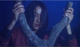 二嫫电影在线观看,穿越时空的浪漫邂逅