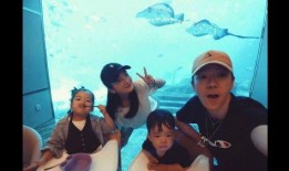 娱乐圈爆料王栎鑫,娱乐圈爆料王，揭秘明星幕后故事