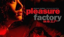 快乐工厂在线观看,在线观看，揭秘欢乐制造背后的故事