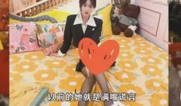 网红女博主爆料视频,揭秘爆料视频背后的惊人内幕