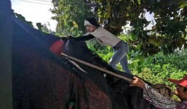 小甜瓜实锤爆料视频下载,事件全貌深度解析