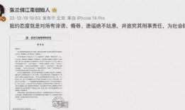 芳姐说真话爆料视频大全,视频爆料大合集深度解析
