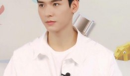 龚俊娱乐吃瓜君是谁,娱乐圈幕后真相大起底