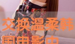 温柔交换在线观看,一场跨越时空的深情邂逅