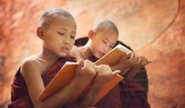 暗杀奶娘之事爆料视频,揭秘背后惊人真相