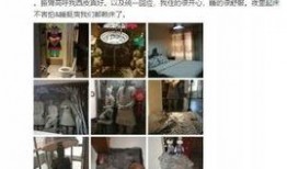博主爆料祥驴酒店视频大全,揭秘酒店内部真实情况