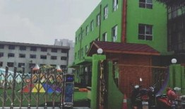 鸿阜园最新爆料消息,揭秘神秘项目背后的惊人真相！