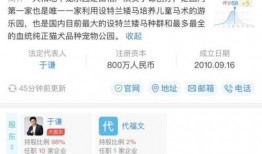 作假爆料视频怎么处理,作假爆料视频处理全解析