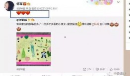 娱乐吃瓜酱 生日,揭秘明星生日背后的故事与惊喜