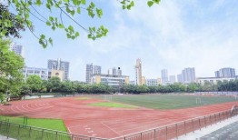 重庆礼嘉中学爆料案件最新,校园疑云揭开，真相渐明