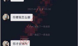 网红聊天记录吃瓜录音,吃瓜录音背后的惊人真相