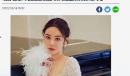 蔡天凤前夫爆料视频,揭秘婚姻背后的惊人真相