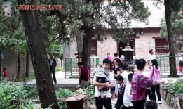 常州景区爆料事件真相最新,真相大白，揭秘背后真相