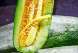 宿州网红团长吃瓜