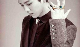 爆料鹿晗爸爸是谁呀视频,鹿晗神秘身世，揭秘其父亲真实身份