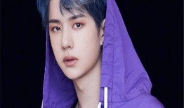 周子轩爆料王一博视频,事件背后真相揭秘