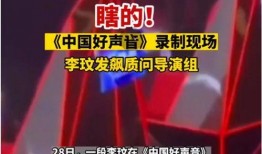 好声音导演爆料视频,幕后故事与精彩瞬间大曝光