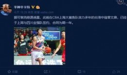 8月赛季最新爆料,揭秘新赛季精彩看点与神秘英雄