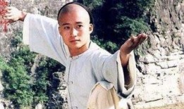 电影太极宗师在线观看,传奇宗师，武道巅峰