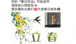 小林的吃瓜日记免费阅读,揭秘娱乐圈幕后故事