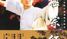 电影太极宗师在线观看,传奇宗师，武道巅峰