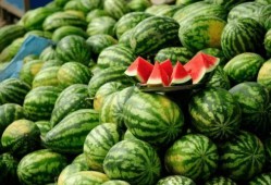 康县网红直播吃瓜,带你领略乡村美食魅力