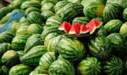 康县网红直播吃瓜,带你领略乡村美食魅力