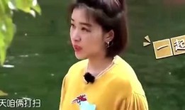 明星耿直爆料视频播放,明星真实一面引热议