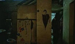 路边野餐土豆在线观看,在线重温经典美食之旅