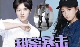 鹿晗韩国爆料视频合集在线观看,韩国爆料视频合集深度解析