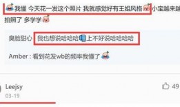 圈内爆料王悦伊微博,揭秘娱乐圈不为人知的一面