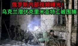 俄罗斯内部爆料视频在线