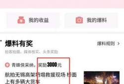 大连头条最新爆料,重大爆料揭示背后惊人真相！