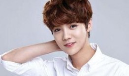 爆料鹿晗爸爸是谁呀视频,鹿晗神秘身世，揭秘其父亲真实身份